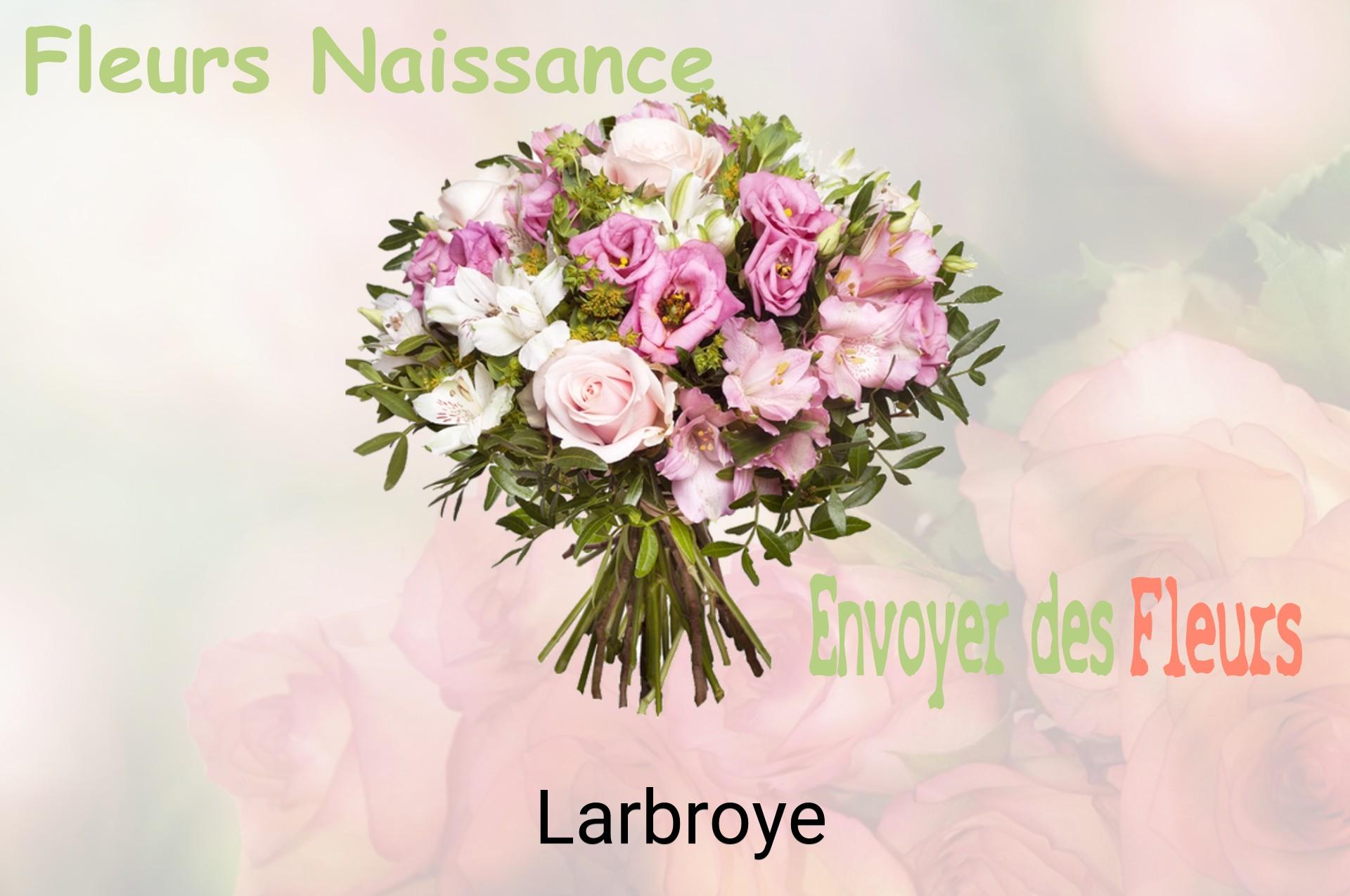 Bouquet de fleurs de naissance livré à Larbroye