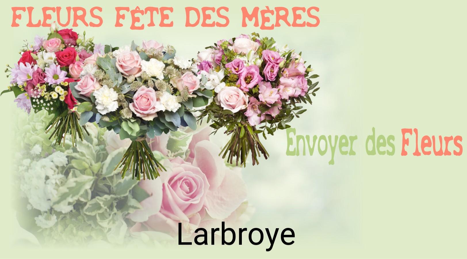 Bouquet de Fête des Mères livré à Larbroye